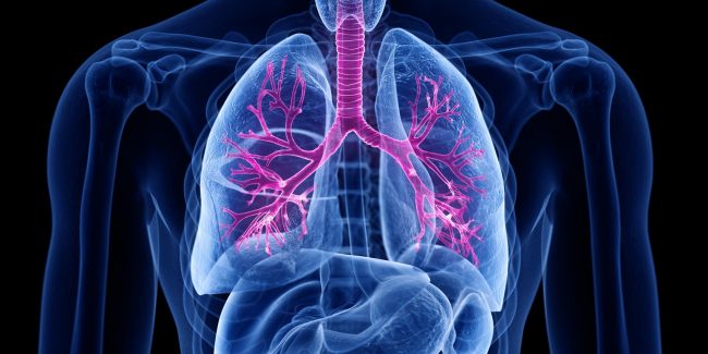 什么是慢性阻塞性肺病 (Chronic Obstructive Pulmonary Disease)，為何與新冠疫情有關(guān)？